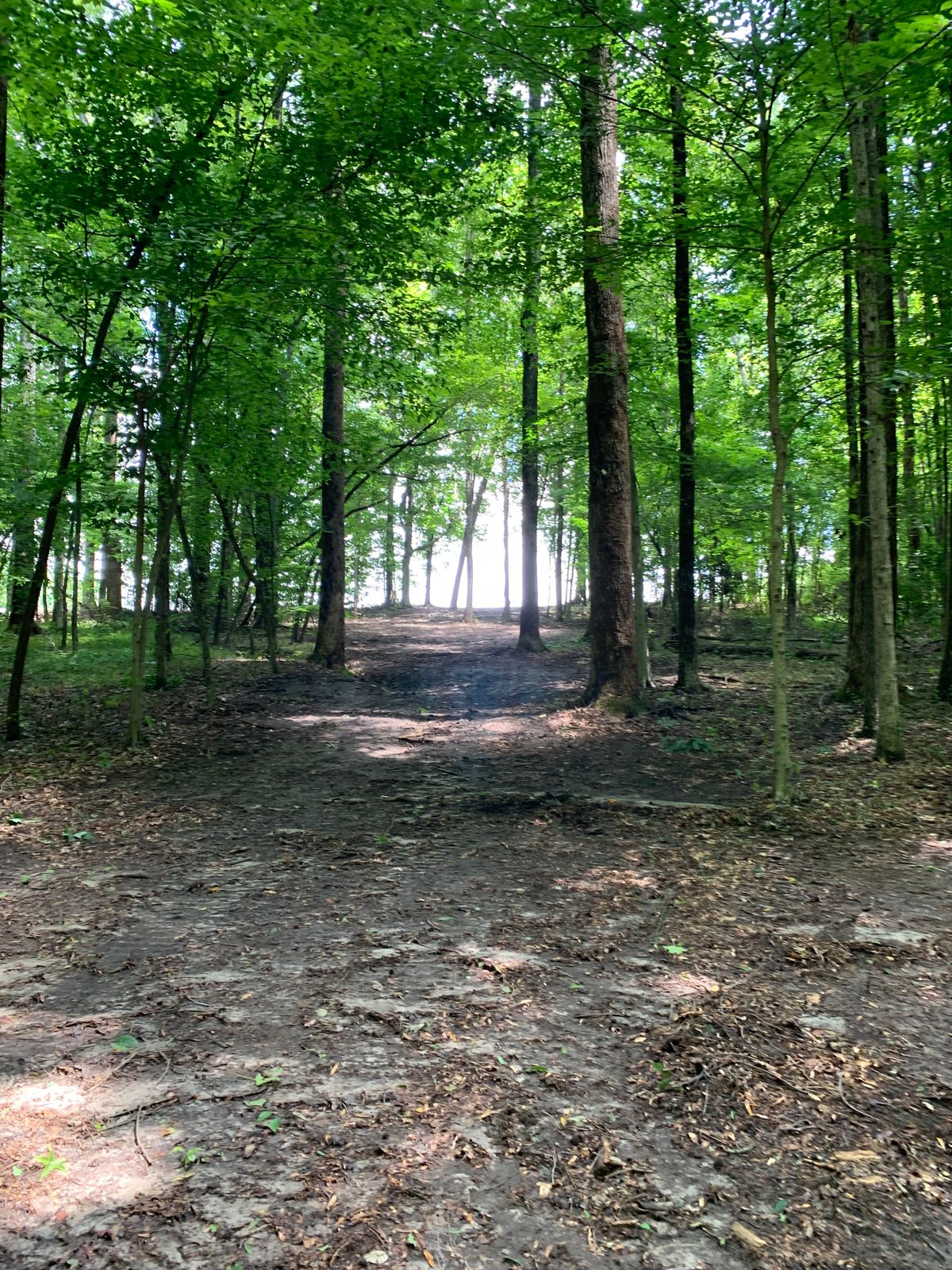 Hole 7 1st Landing Zone. 