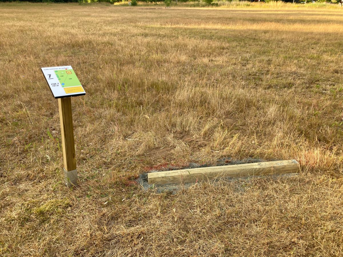 Tee 7