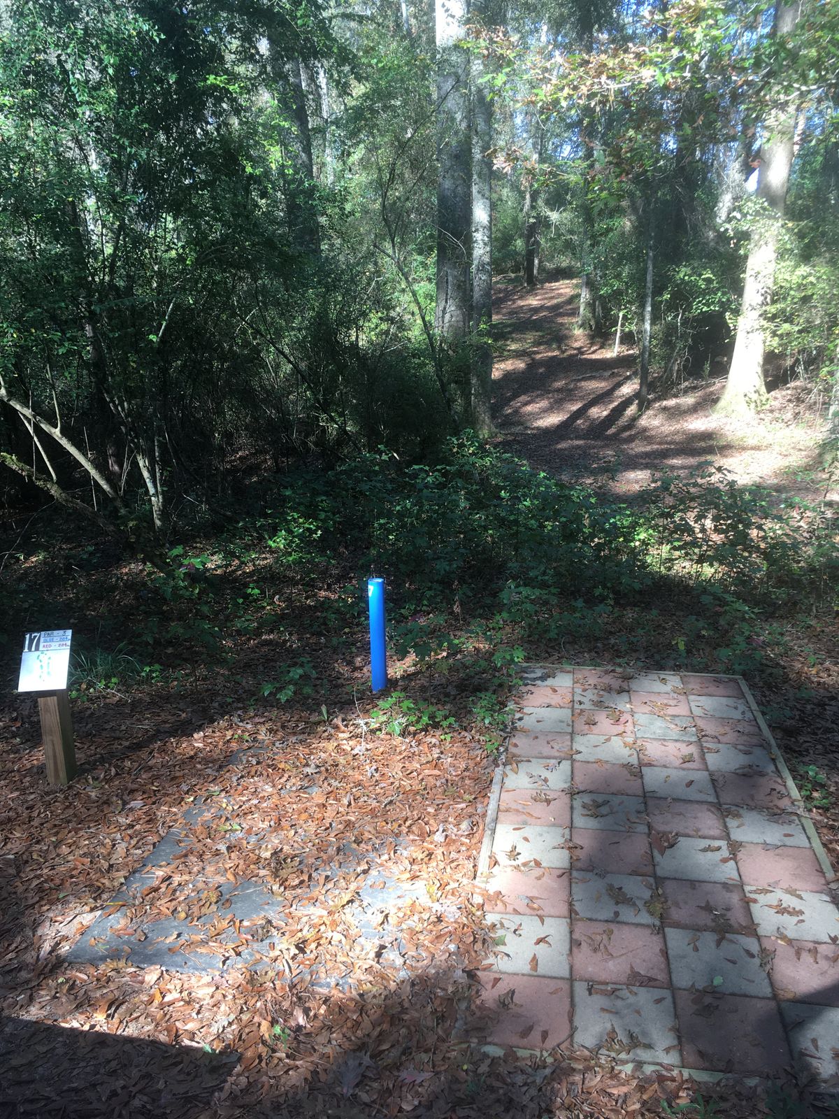 Hole 17 Tee