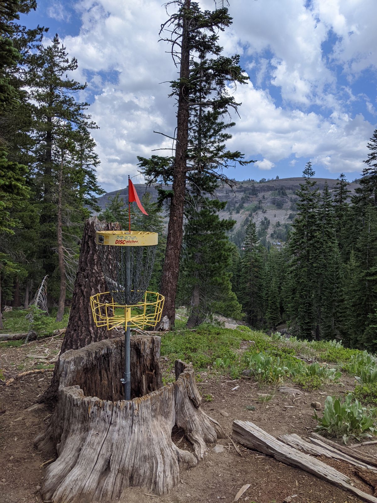 Hole 12