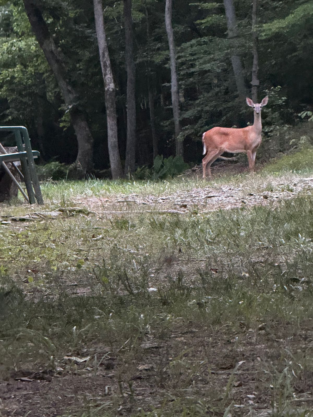 Fathers Day 2024 Hole 4