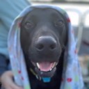 User avatar image