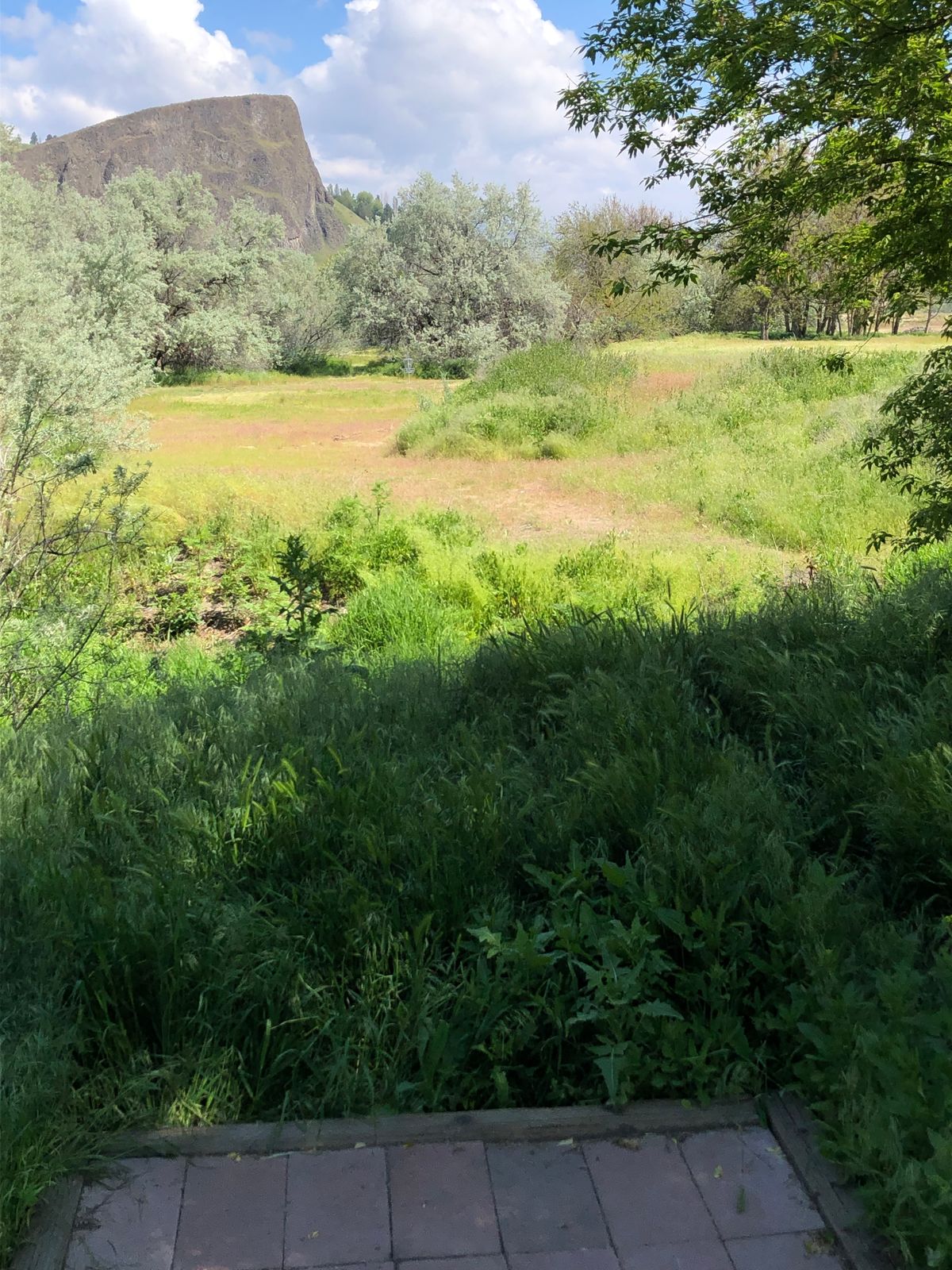 Nice view Tee #1