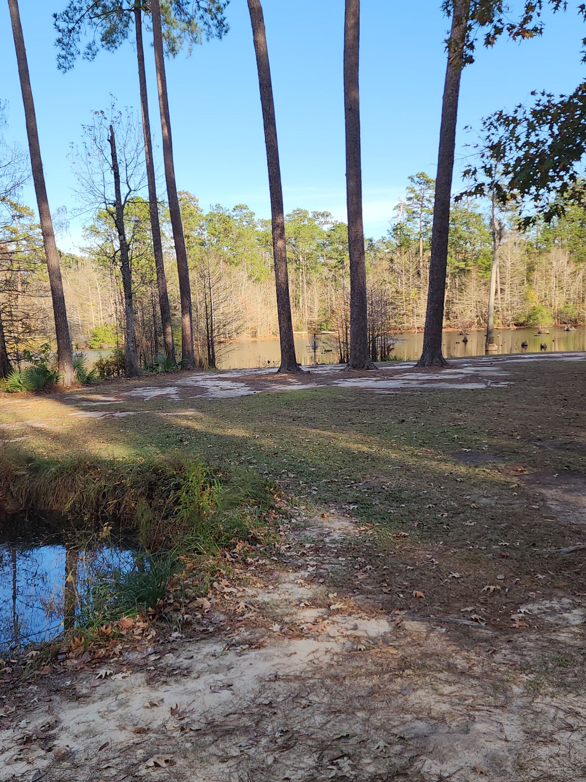 Hole 5 green