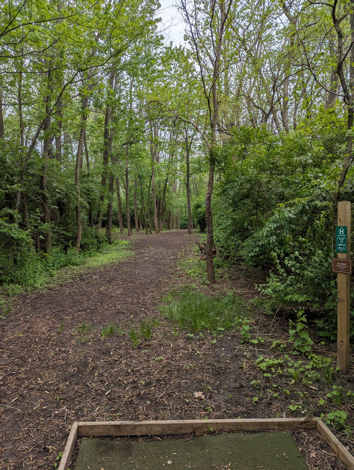 Hole 13