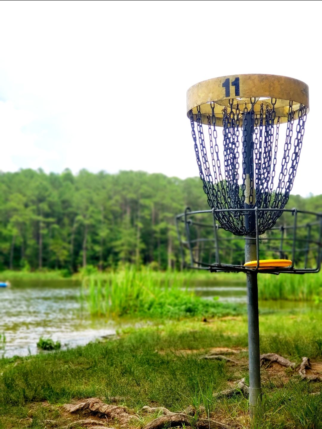Hole 11 over the lake, where you could easily end up in the drink on a misthrow.