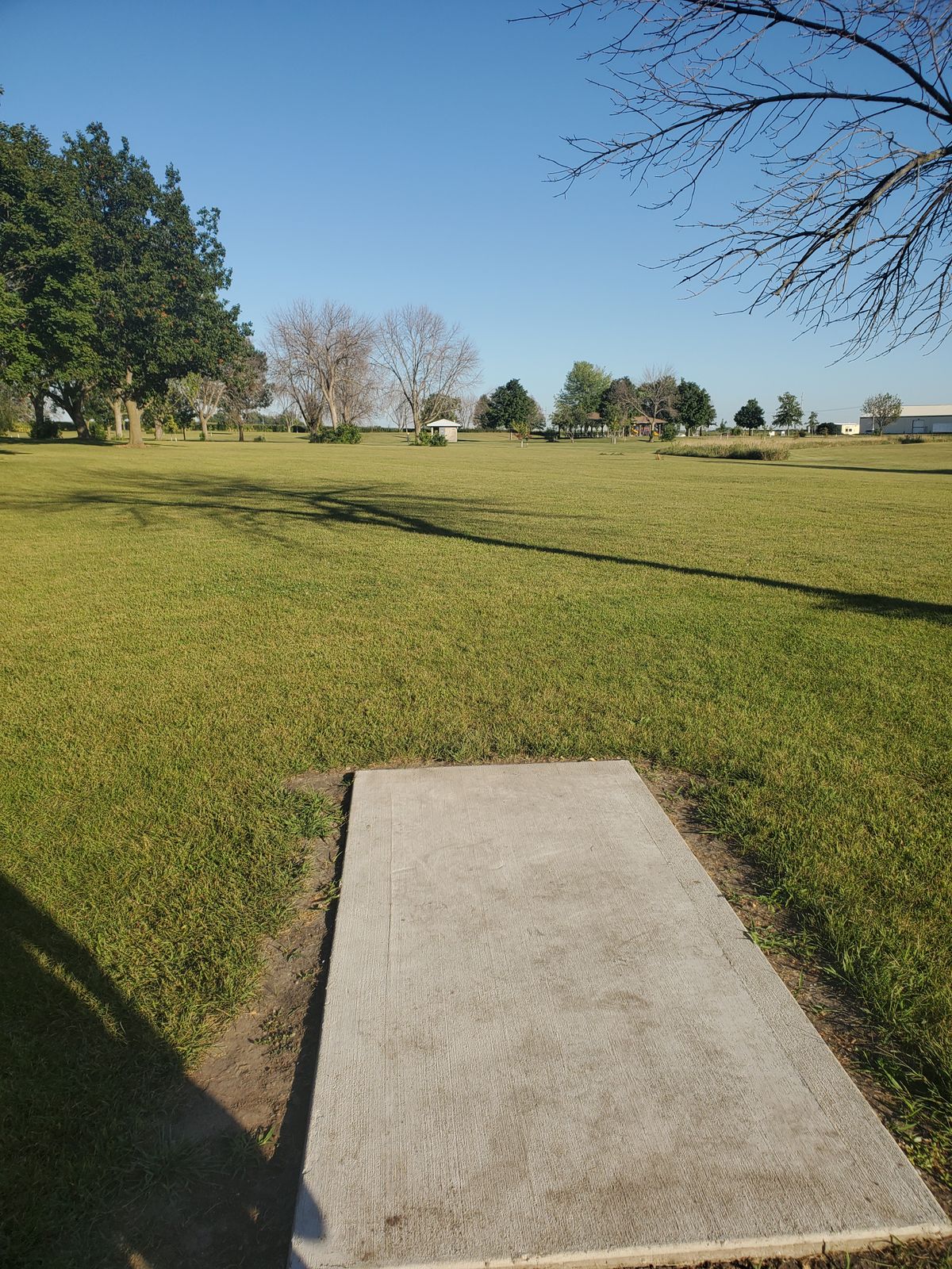 Tee pads are all cemented in