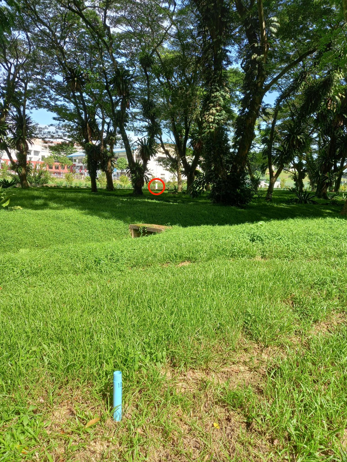 Hole 3