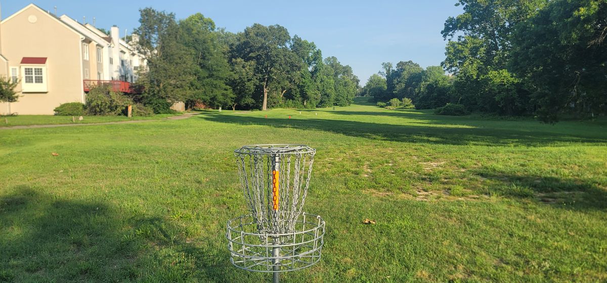 Basket view from Hole 2.