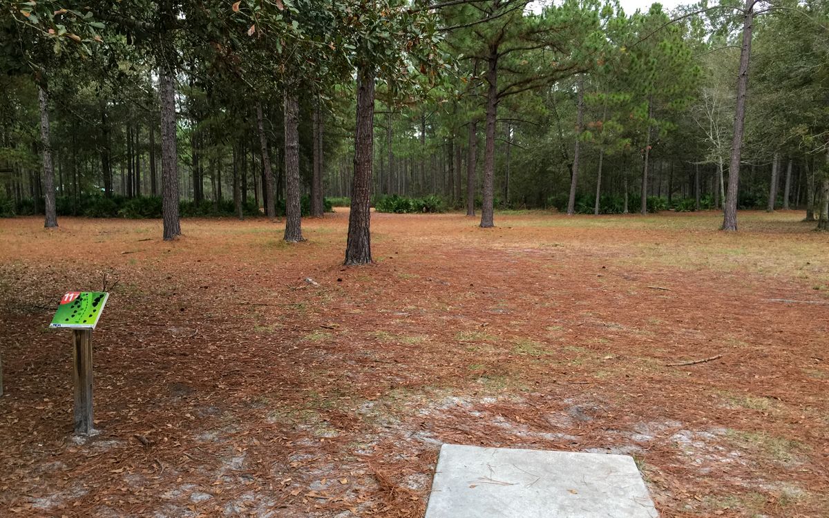 Hole 11