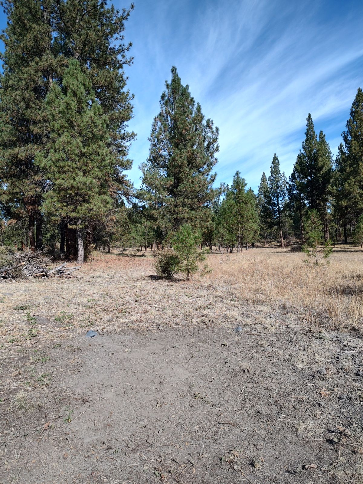 Hole 13 Tee.