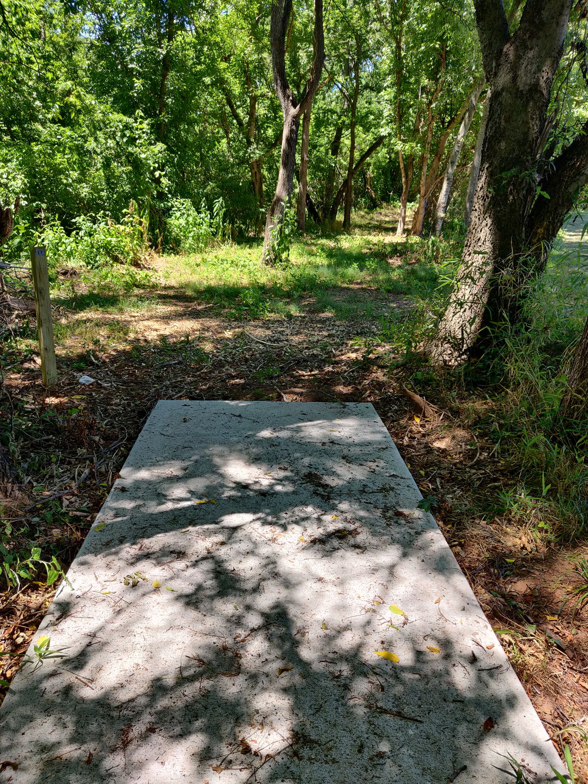 Hole 17. Looking down fairway. Second tree in the right plays as a mando.
