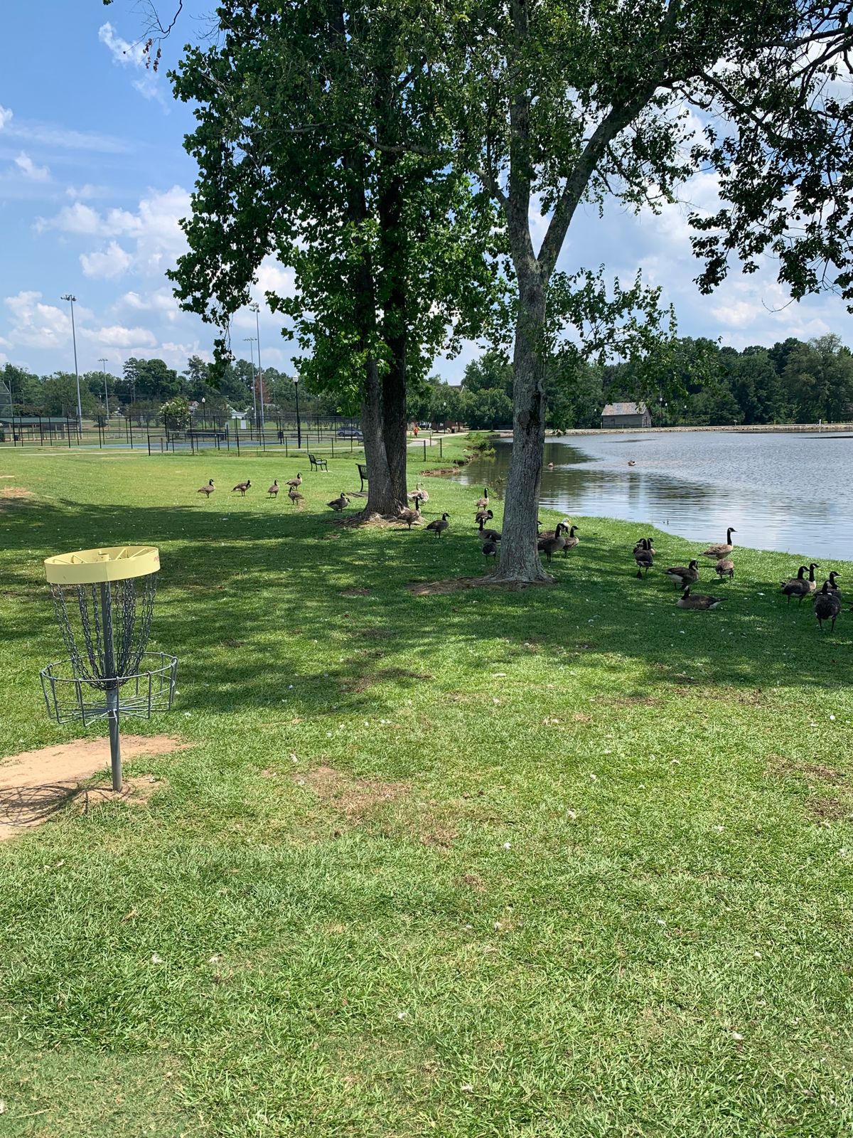 Hole 5 Basket