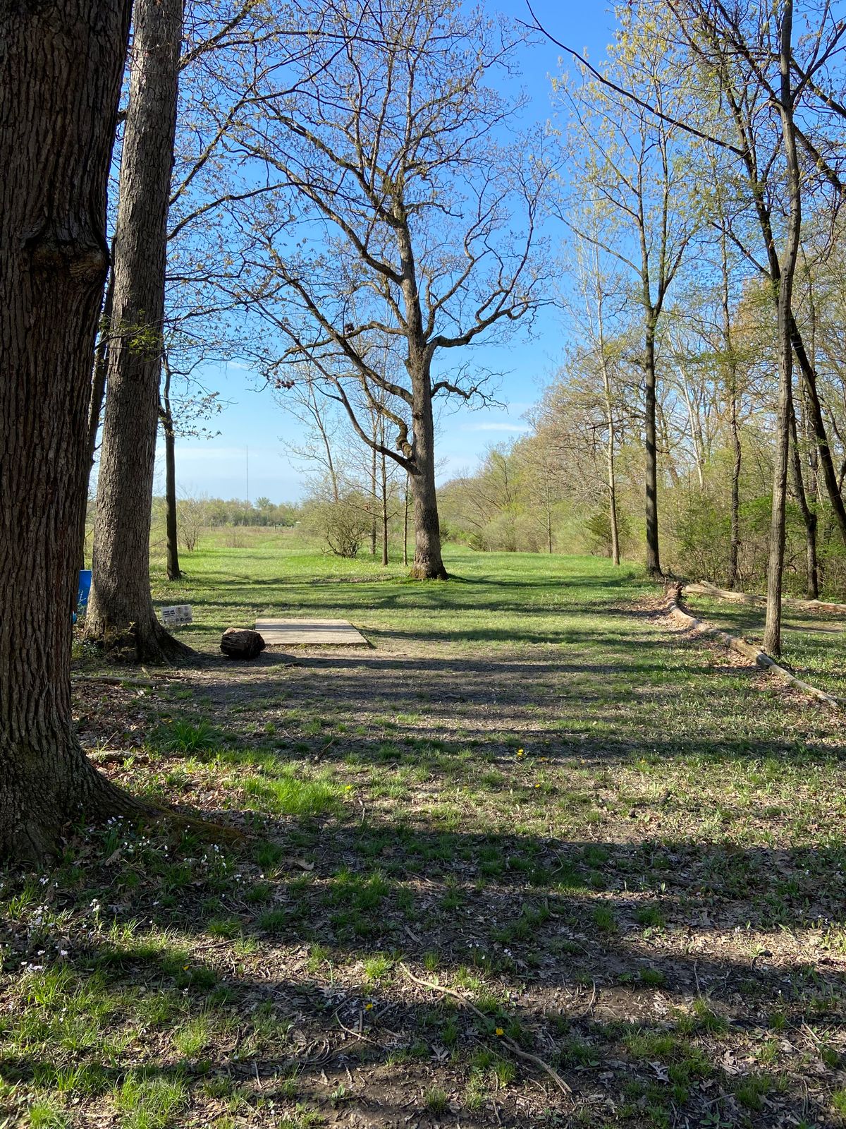 At the first left turn of hole 5 just prior to the silver tee pad.