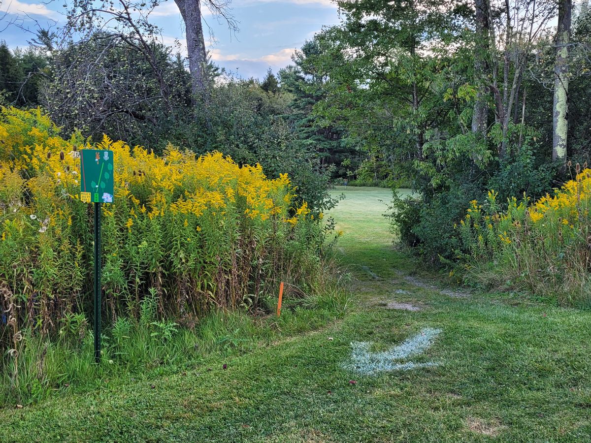 Tee of 9 including tee sign