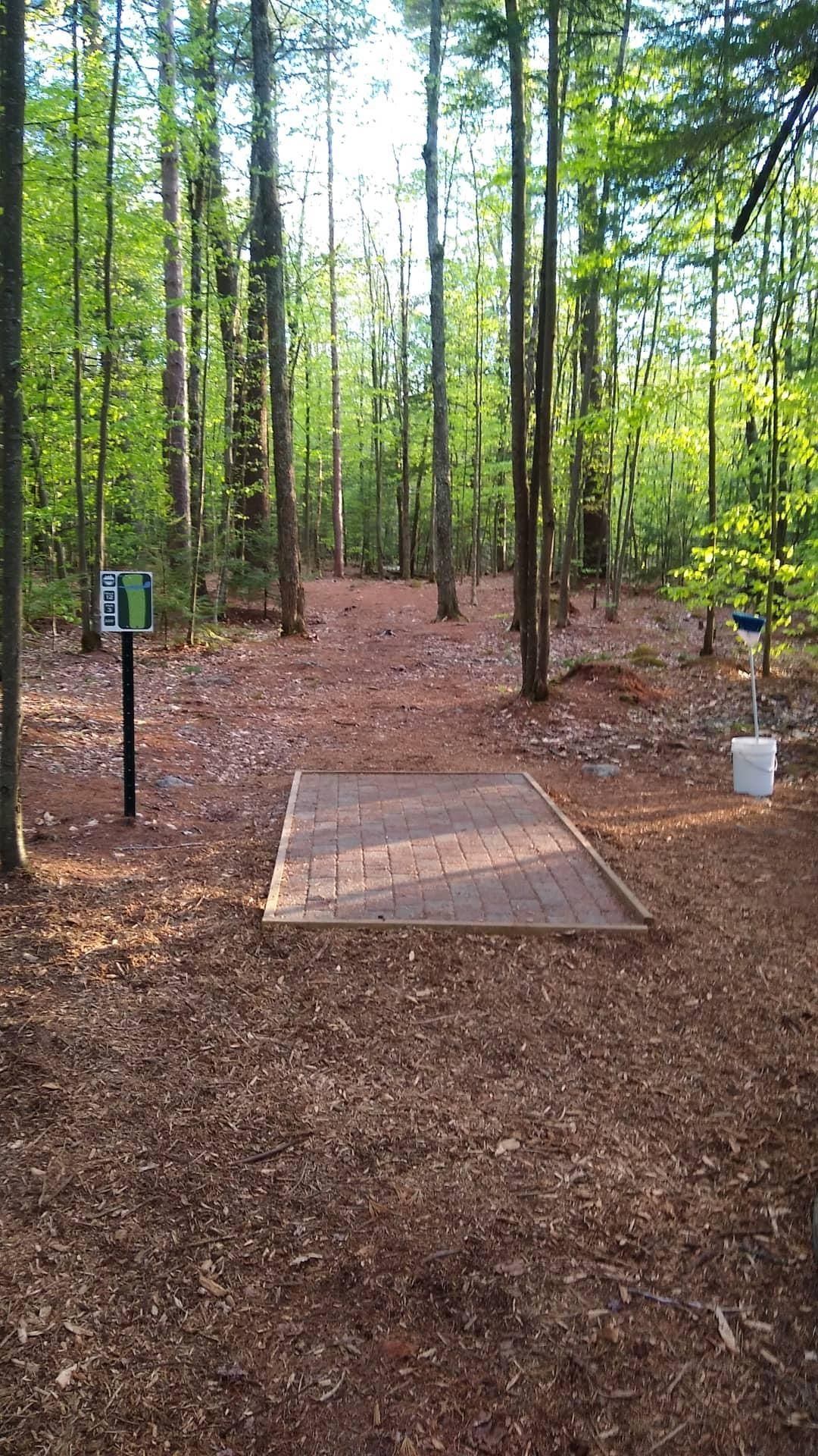 Hole 12's tee pad