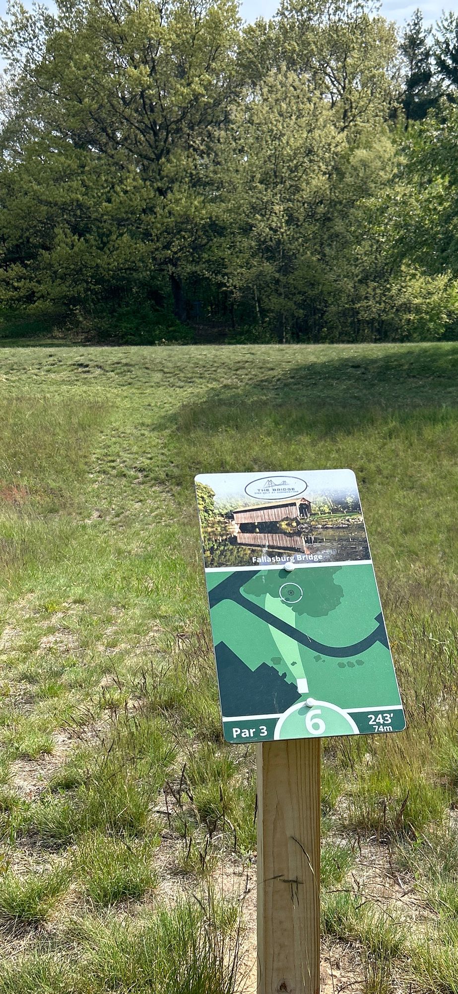 Hole #6 Tee