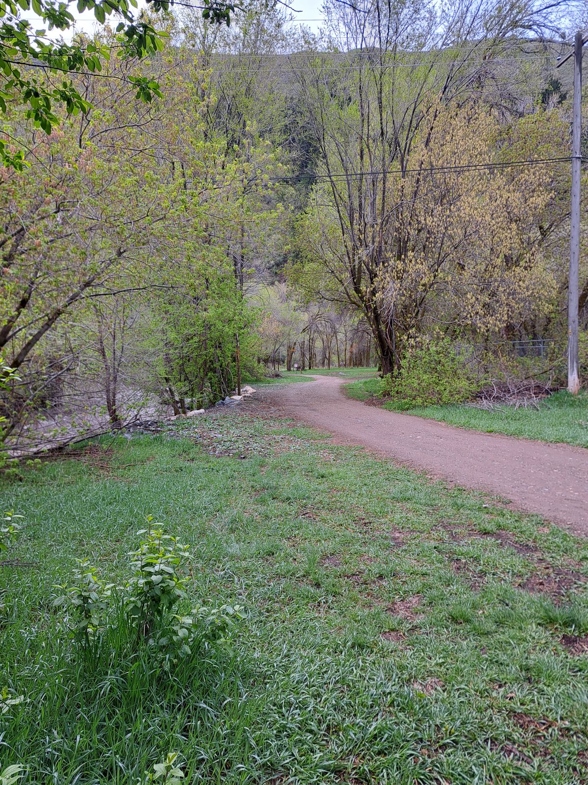 7 long fairway