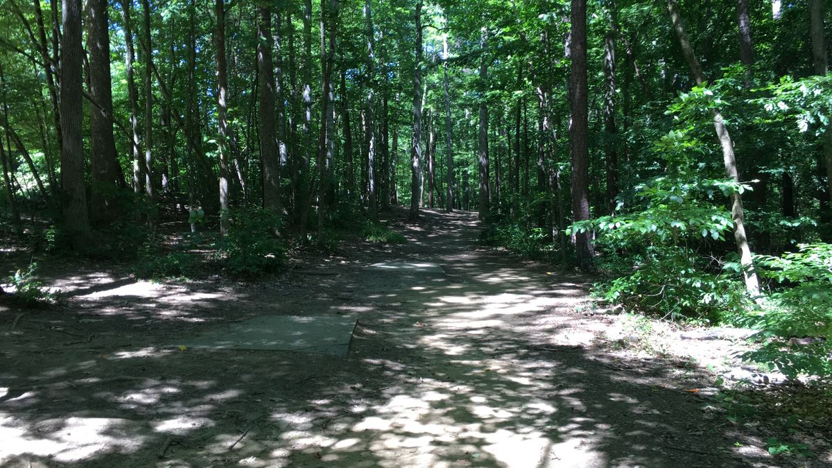 Hole 11