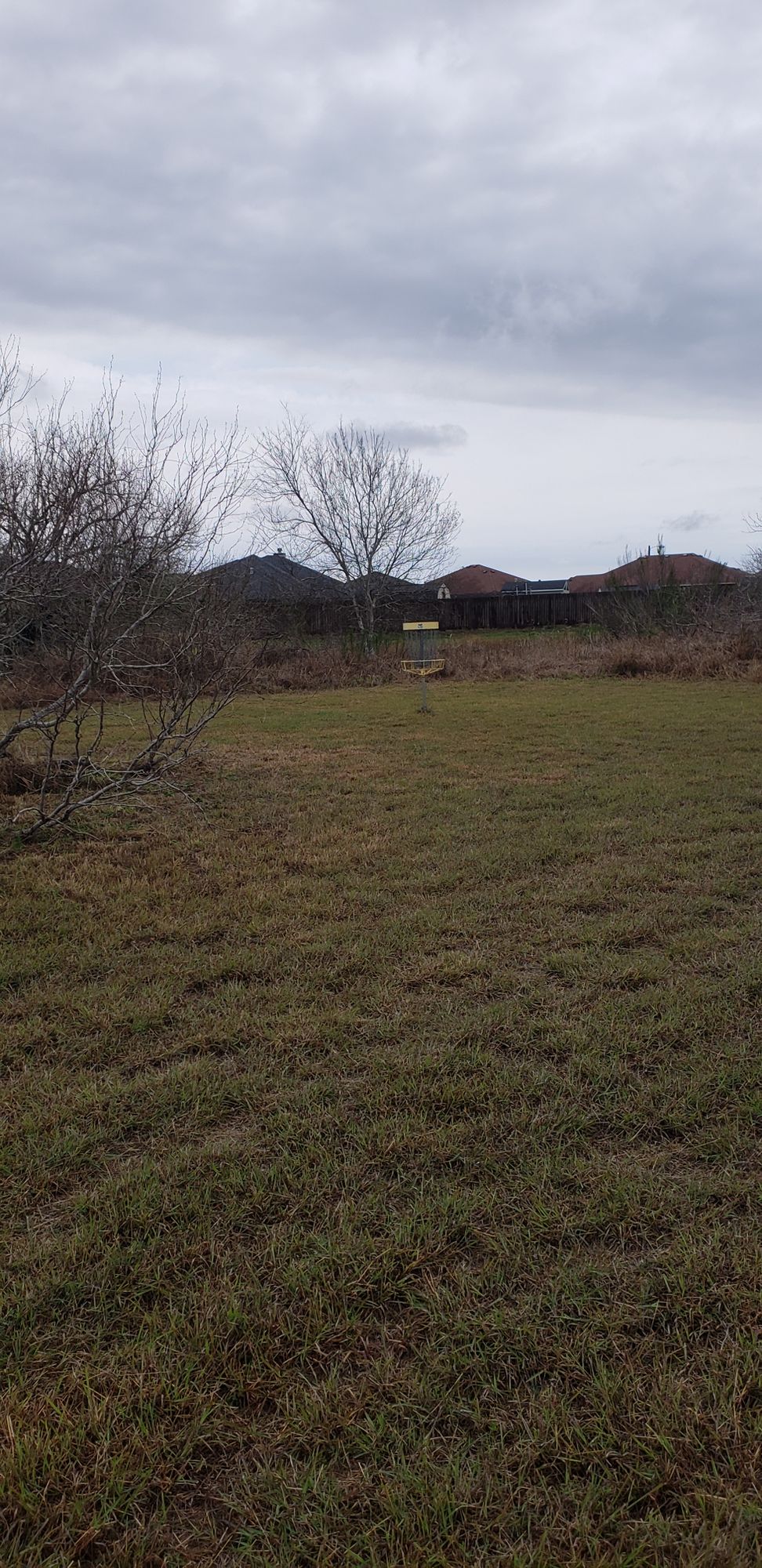 Hole 17 basket