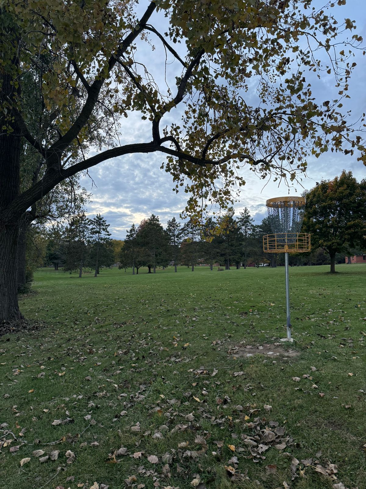 18 Green/Putting Area