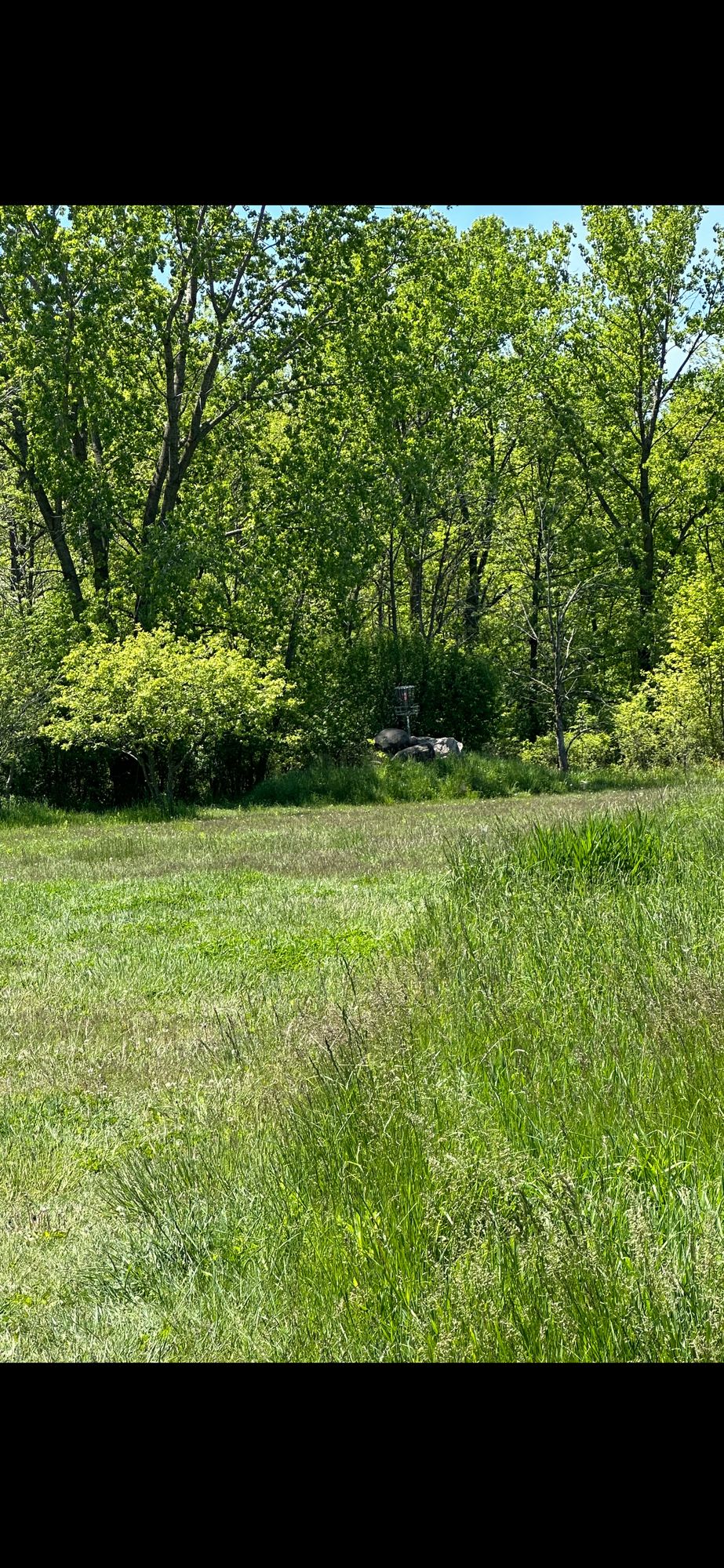 Hole 4 from the short tee’s