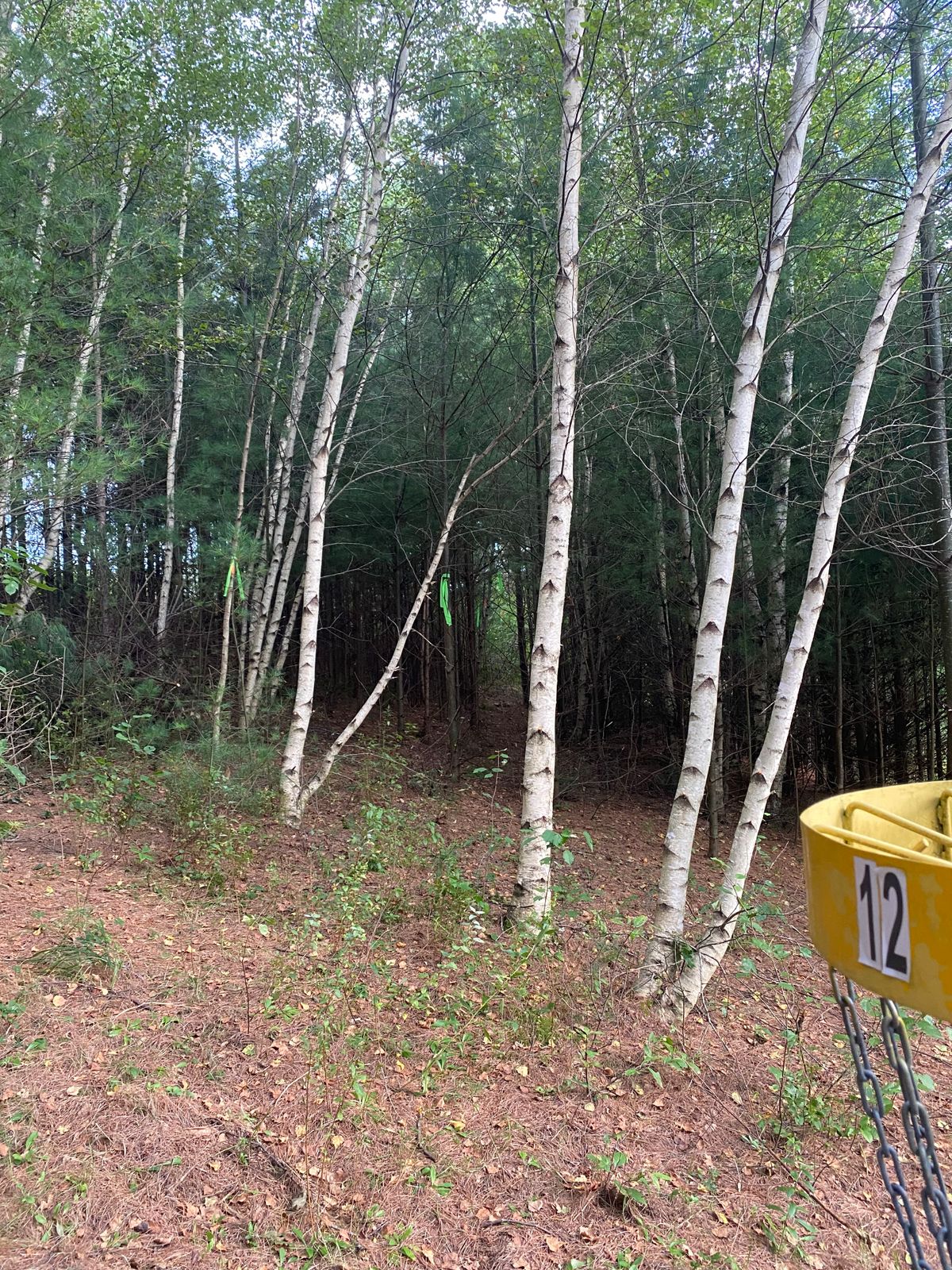 Path to hole 15