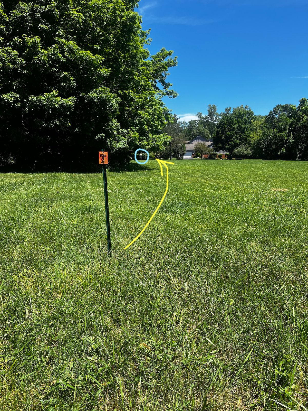Hole 2. Caution of the OB to the back right of the basket.