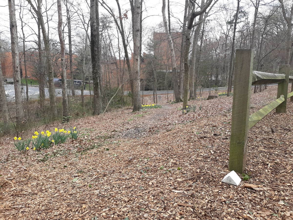 Hole 4