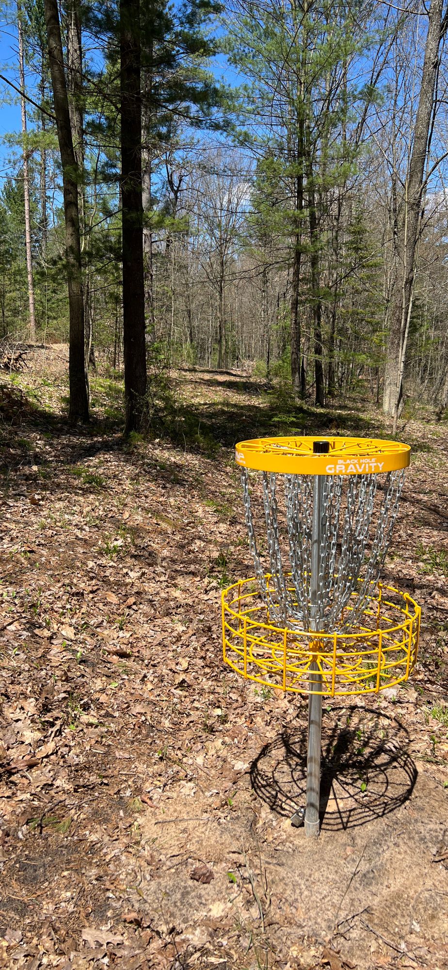 18 behind pin