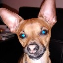 User avatar image