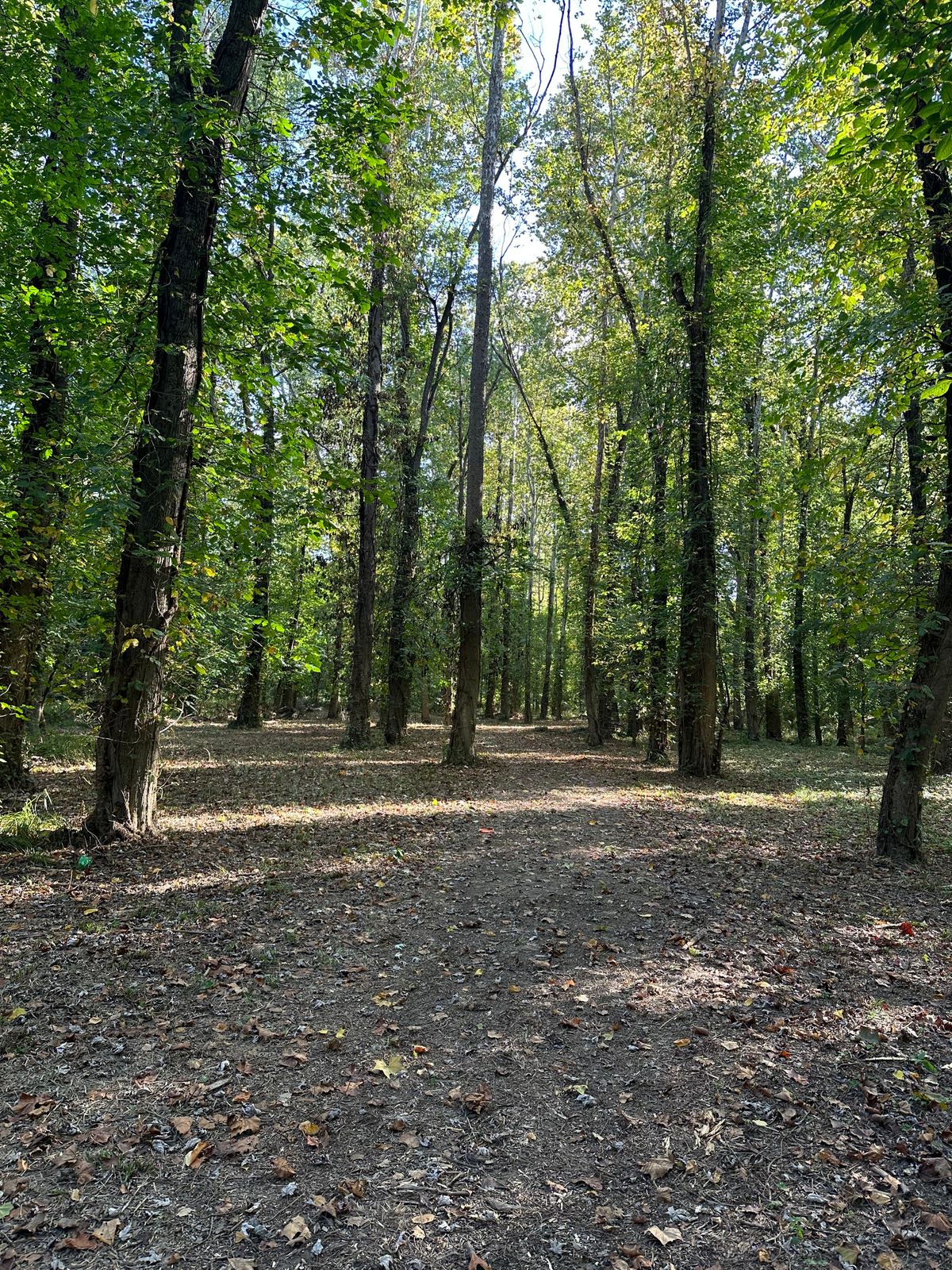Hole 5