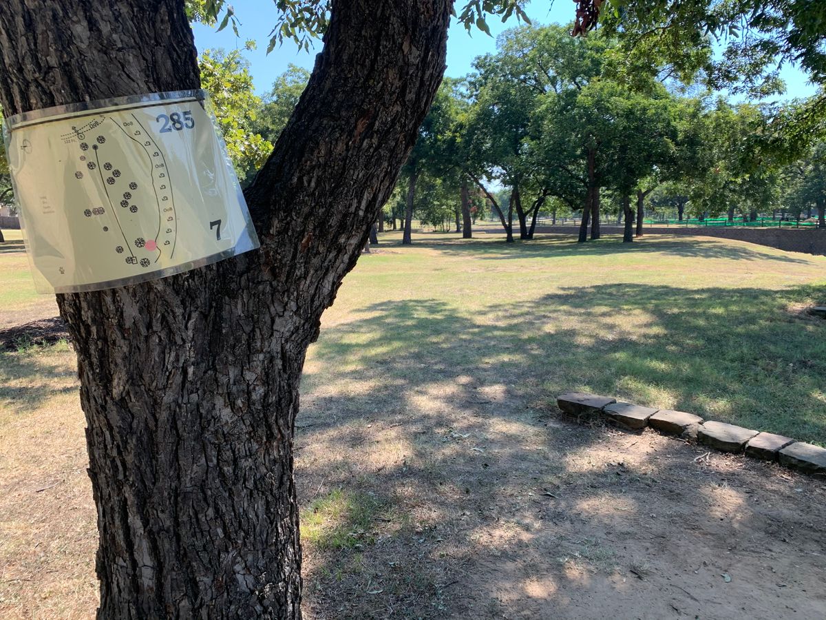 Hole 7. Slightly elevated tee pad. Signage to the right of the tee pad on the tree.