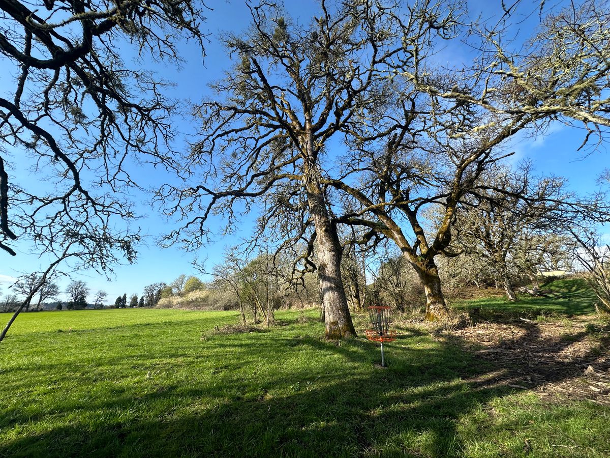 Hole 4, March 30th, 2025