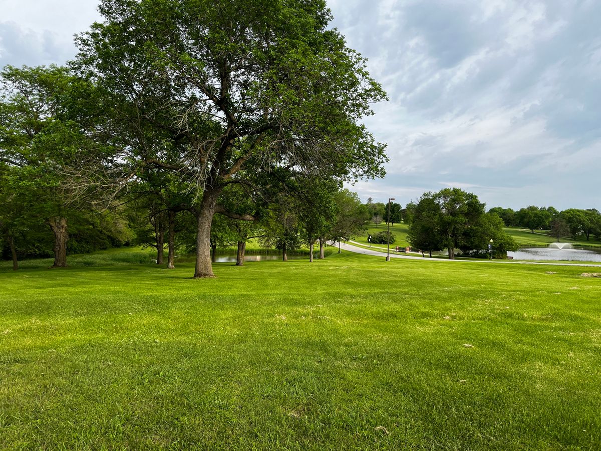 Hole 5 - halfway down the fairway