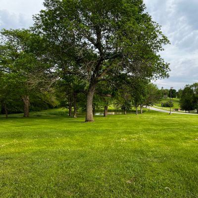 Hole 5 - halfway down the fairway