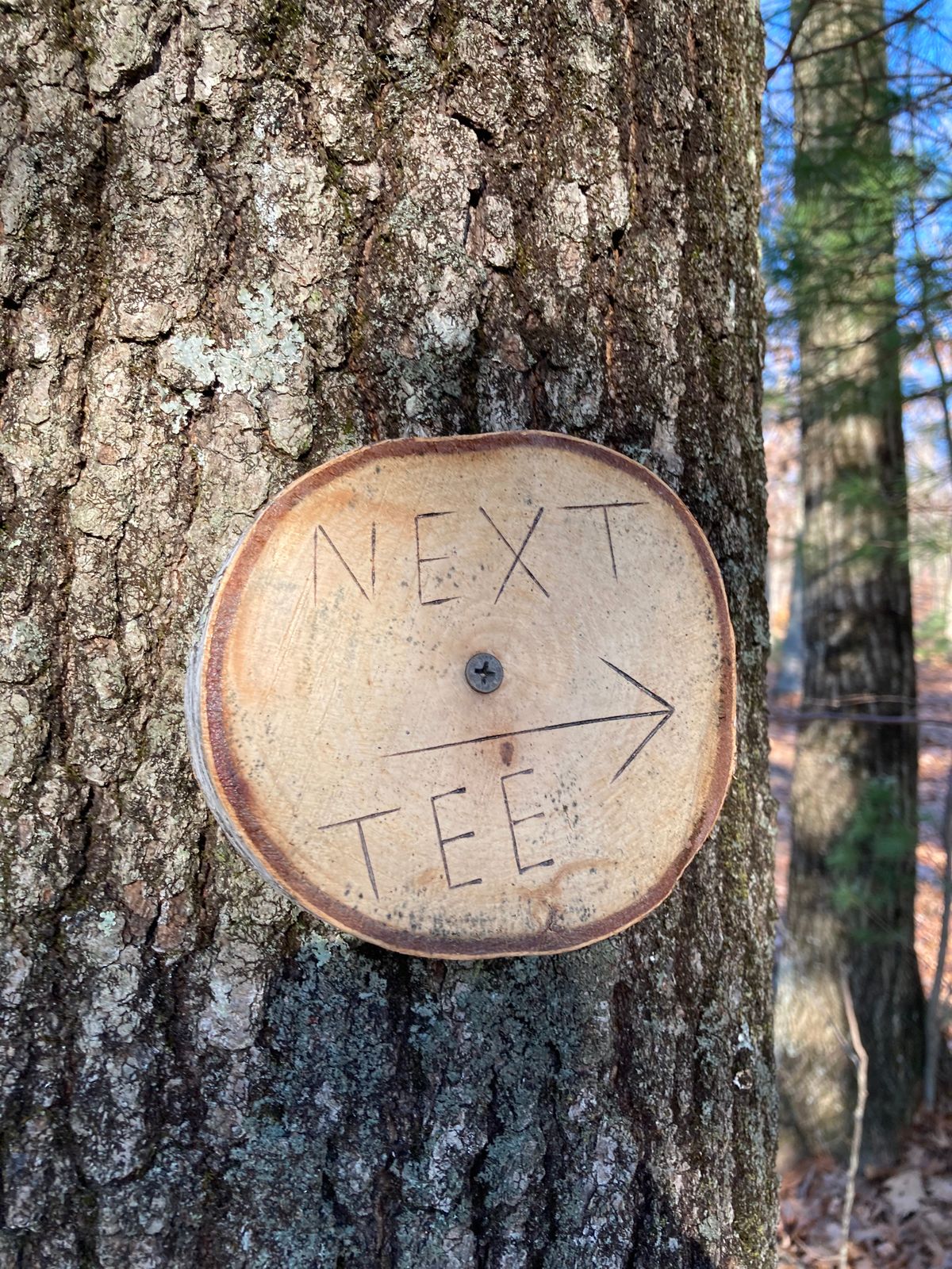Next tee markers are consistent on each hole
