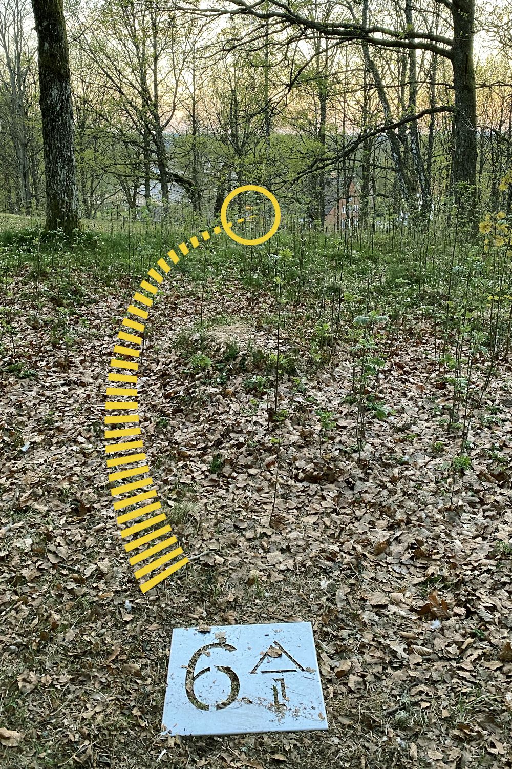 Hål 6
