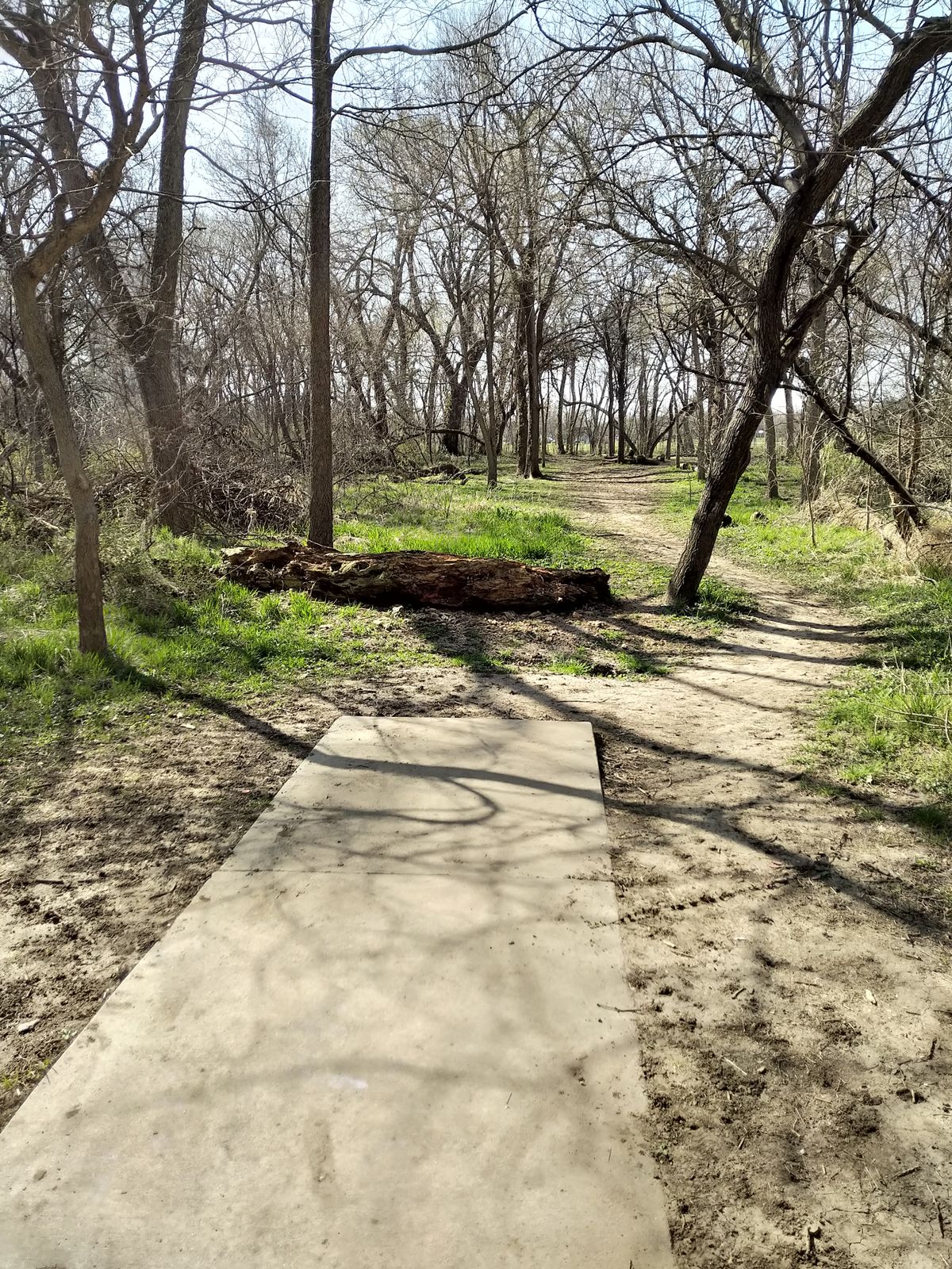 Hole #3 Blue Tee (April 2021)