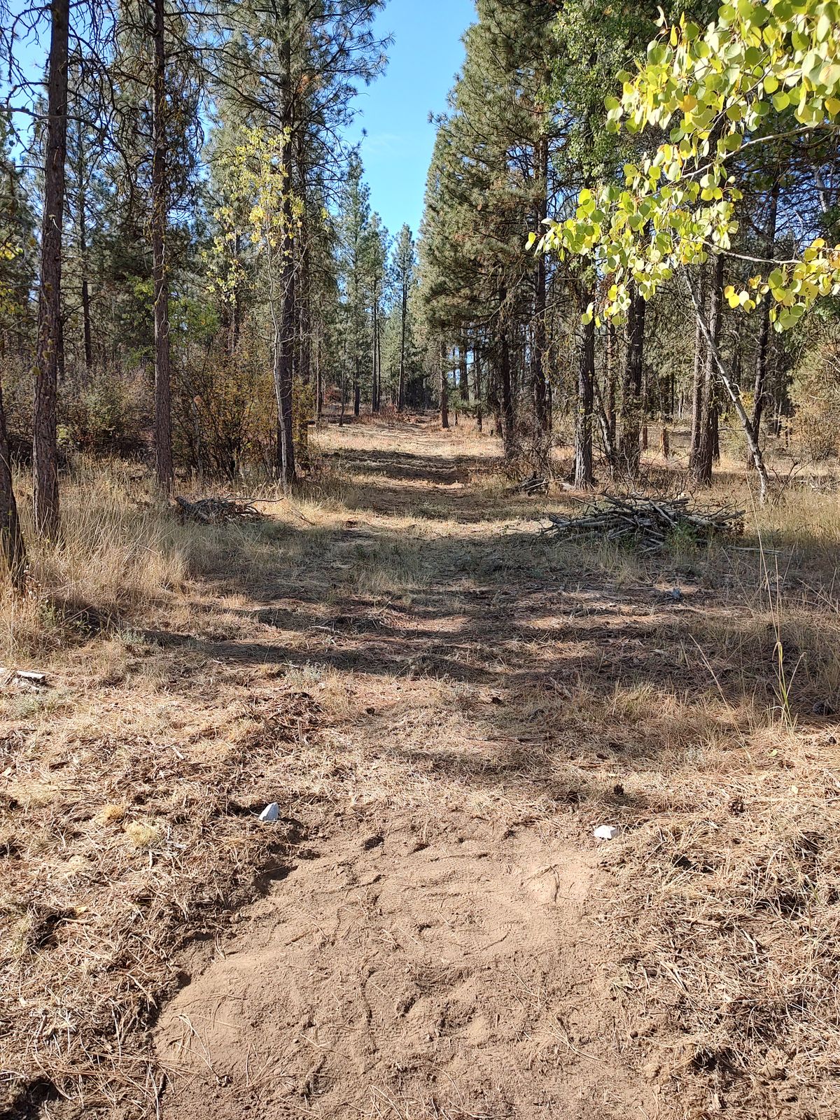 Hole 5 Tee.
