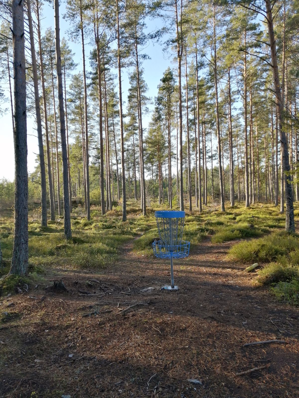 5. Väylä