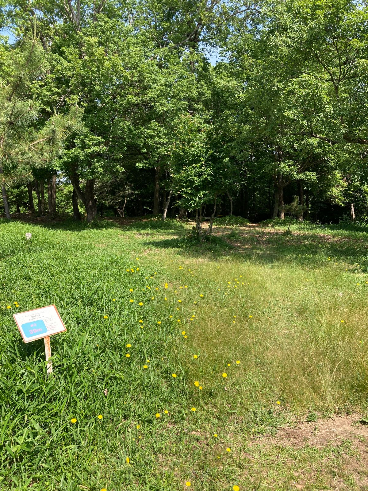 hole 3 tee for 9 hole course