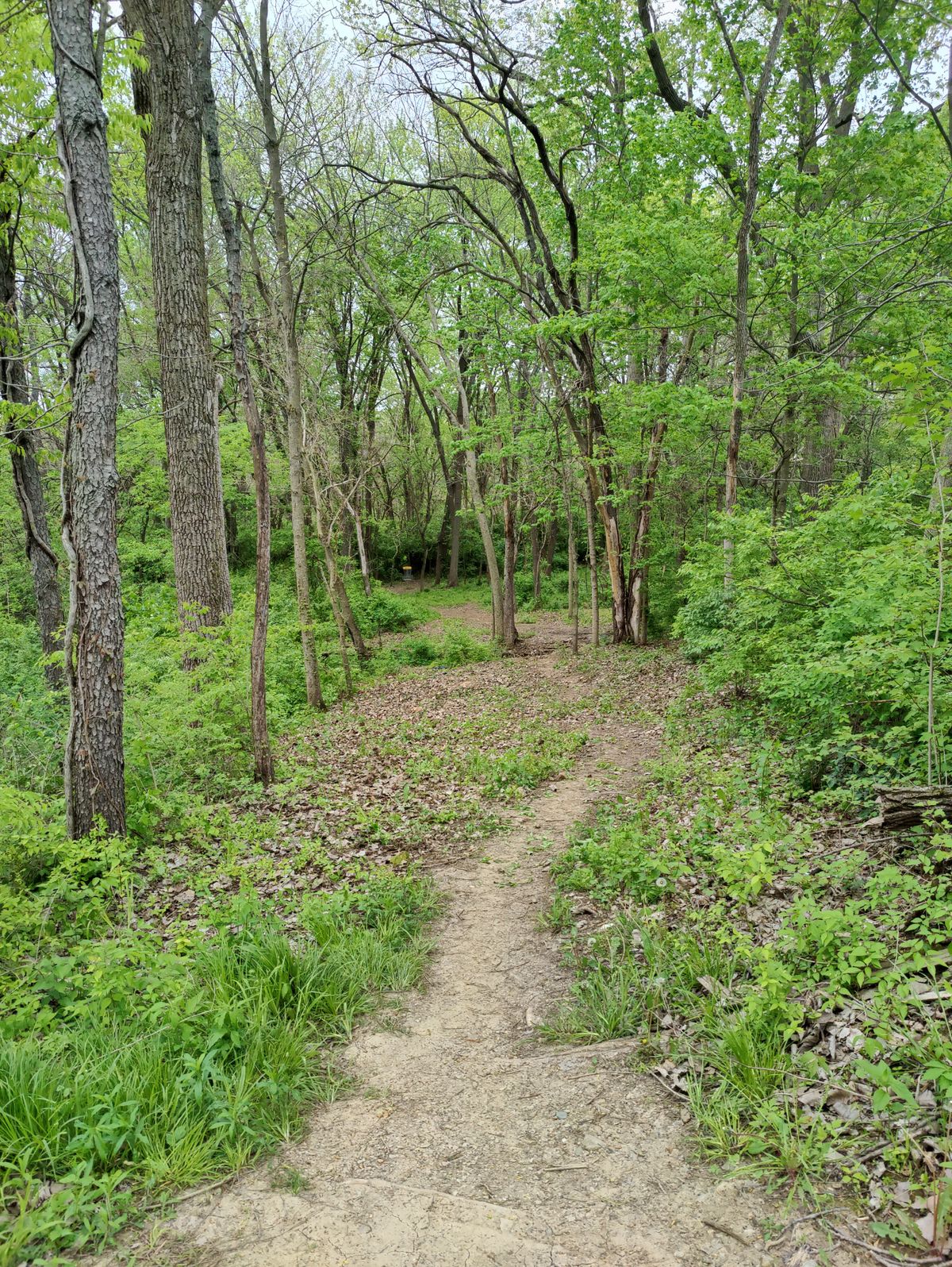 Hole 4A pin