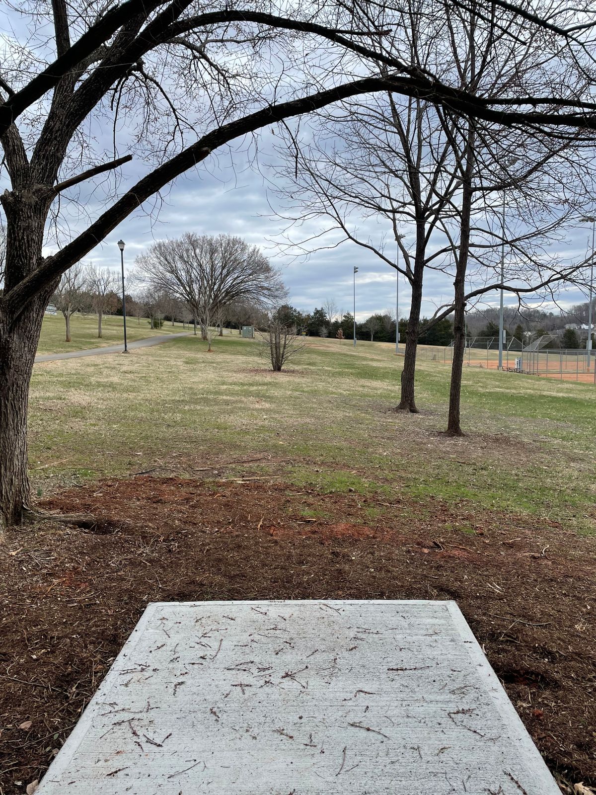 Hole 6