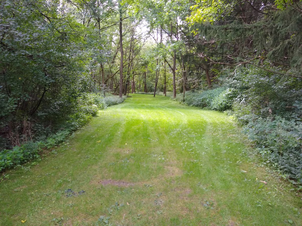 5 South from tee