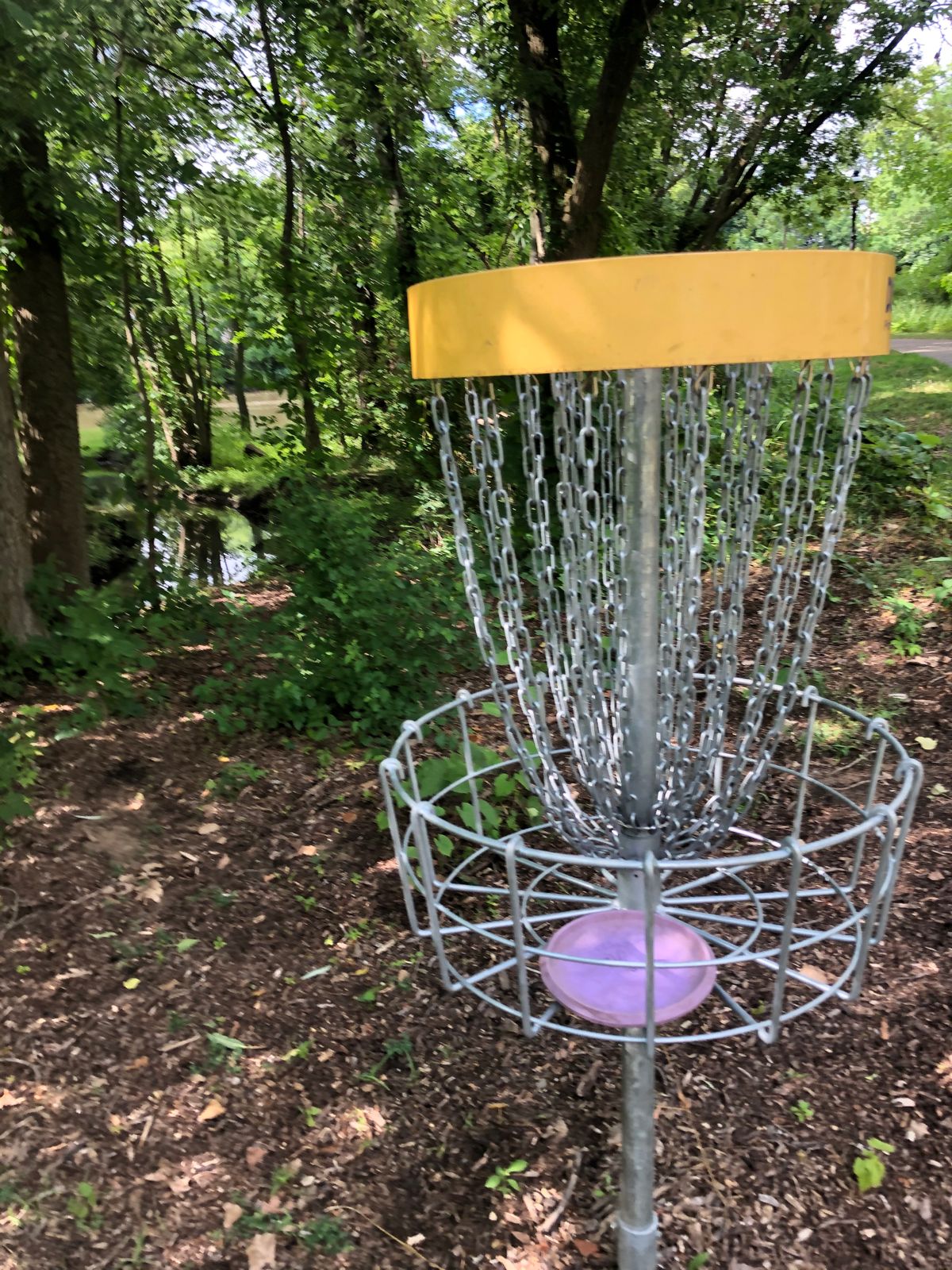Hole 6 basket