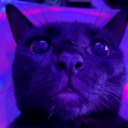 User avatar image