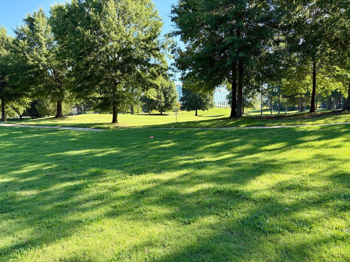 Hole 12 approach