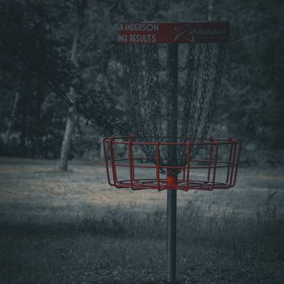 @ShelbyFramesTheDisc