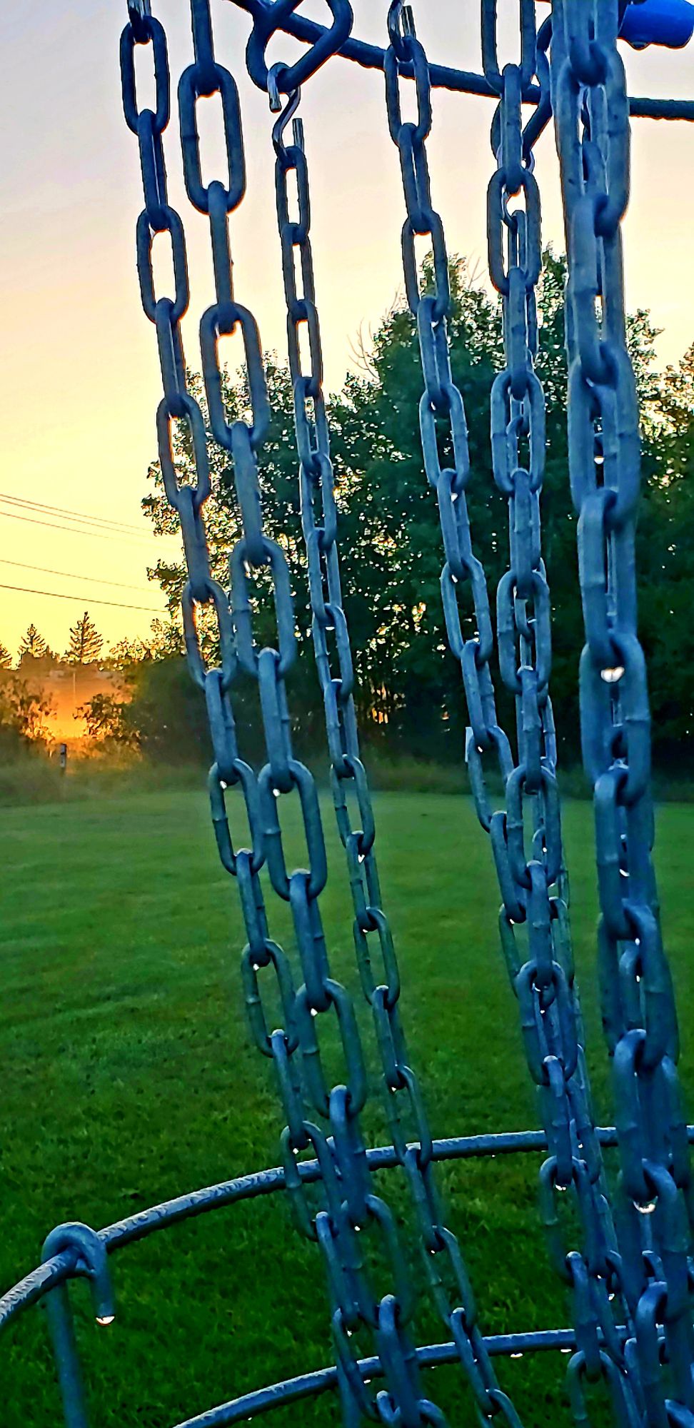 Morning dew on the chains